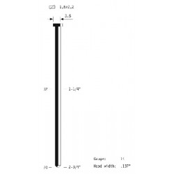OMER Chiodatrice pneumatica B17.64, Ferramenta Montagner 2
